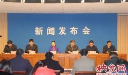 新野县新闻爆料网站最新,揭秘当地最新动态，热点事件一网打尽！